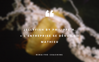 JellyFish by Philippe H. | « L’entreprise se dévoile » | Episode : Mathieu
